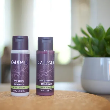 Clos 1906 Отель типа 